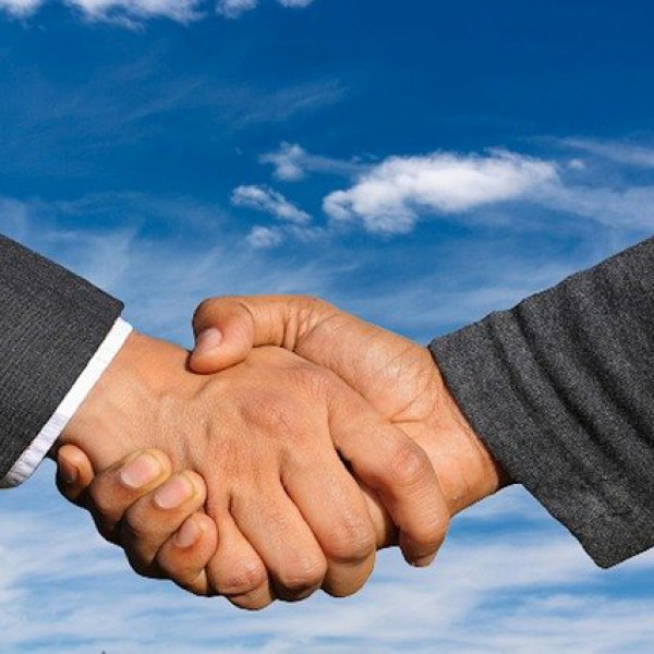 Partnerzy i Projekty